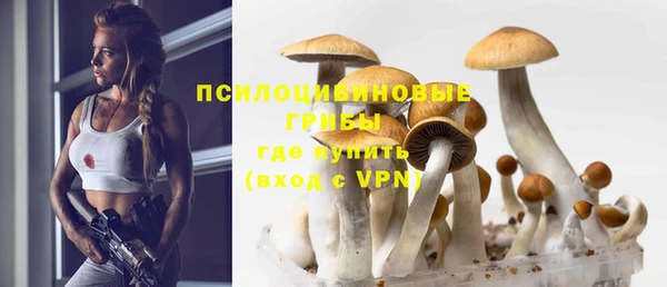 гашик Краснослободск